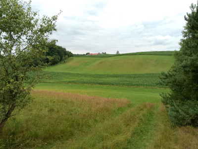 Działka budowlana z widokiem i wodociągiem Nowa Wieś Przywidzka  1500 m - Nowa Wieś Przywidzka  -
pomorskie Zdjęcie nr 5