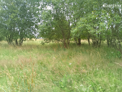 Działka budowlana z widokiem i wodociągiem Nowa Wieś Przywidzka  1500 m - Nowa Wieś Przywidzka  -
pomorskie Zdjęcie nr 6