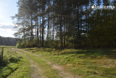 Działka rekreacyjna w Konarzynach  ogrodzona blisko Jeziora Wygonin - Konarzyny  -
pomorskie Zdjęcie nr 5