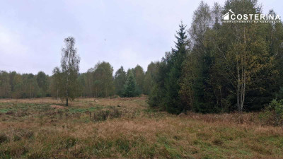 Działka inwestycyjna 706 ha w Zadrach gmina Miastko Pojezierze Bytowskie - Zadry  - pomorskie