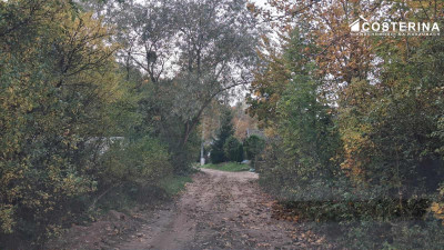 Działka inwestycyjna 706 ha w Zadrach gmina Miastko Pojezierze Bytowskie - Zadry  -
pomorskie Zdjęcie nr 3