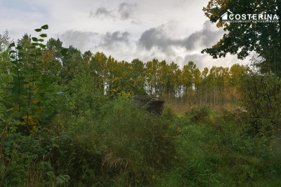 Działka inwestycyjna 706 ha w Zadrach gmina Miastko Pojezierze Bytowskie - Zadry  -
pomorskie Zdjęcie nr 6