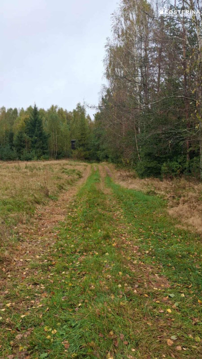 Działka inwestycyjna 706 ha w Zadrach gmina Miastko Pojezierze Bytowskie - Zadry  -
pomorskie Zdjęcie nr 8