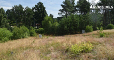 Działka 1147 m pod dom jednorodzinny Piechowice gmina Dziemiany  Kaszuby - Dziemiany  - pomorskie