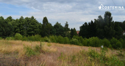 Działka 1147 m pod dom jednorodzinny Piechowice gmina Dziemiany  Kaszuby - Dziemiany  -
pomorskie Zdjęcie nr 3