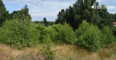 Działka 1147 m pod dom jednorodzinny Piechowice gmina Dziemiany  Kaszuby - Dziemiany  -
pomorskie Zdjęcie nr 5