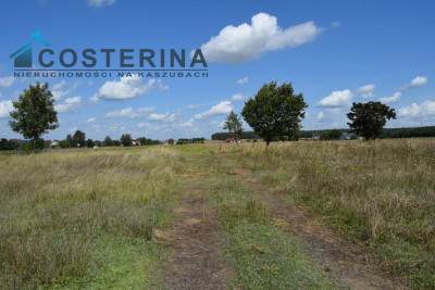 Działka budowlana - Liniewo  -
pomorskie Zdjęcie nr 7