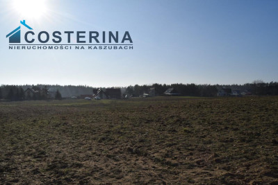 Działki budowlane na Kaszubach Kalisz gmina Dziemiany - Kalisz  -
pomorskie Zdjęcie nr 10