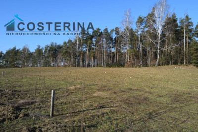 Działki budowlane na Kaszubach Kalisz gmina Dziemiany - Kalisz  -
pomorskie Zdjęcie nr 3