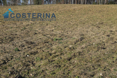 Działki budowlane na Kaszubach Kalisz gmina Dziemiany - Kalisz  -
pomorskie Zdjęcie nr 5