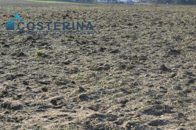 Działki budowlane na Kaszubach Kalisz gmina Dziemiany - Kalisz  -
pomorskie Zdjęcie nr 7