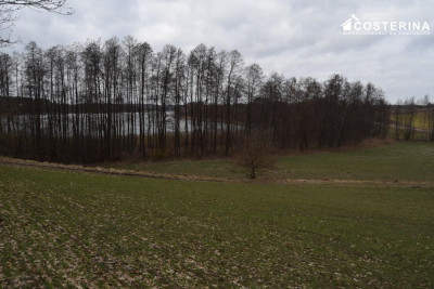 Działka nad Jeziorem Polaszkowskim inwestycja w naturę i spokój - Równe  -
pomorskie Zdjęcie nr 13