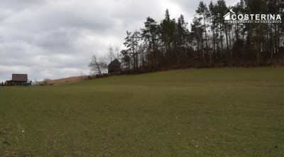 Działka nad Jeziorem Polaszkowskim inwestycja w naturę i spokój - Równe  -
pomorskie Zdjęcie nr 3