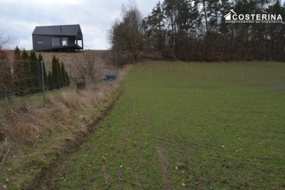 Działka nad Jeziorem Polaszkowskim inwestycja w naturę i spokój - Równe  -
pomorskie Zdjęcie nr 9
