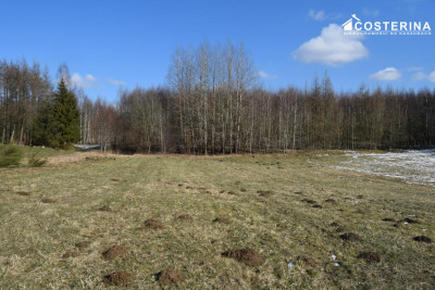 Działki budowlane w Bukowinie gmina Cewice - Łebunia  -
pomorskie Zdjęcie nr 12