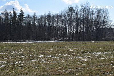 Działki budowlane w Bukowinie gmina Cewice - Łebunia  -
pomorskie Zdjęcie nr 13