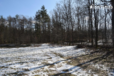 Działki budowlane w Bukowinie gmina Cewice - Łebunia  -
pomorskie Zdjęcie nr 6