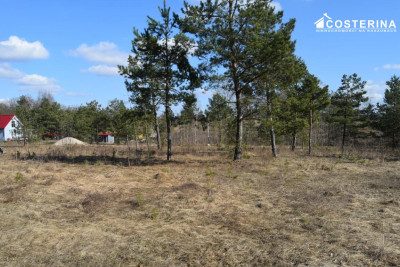 Działki letniskowe w Parchowskim Młynie 200 metrów od Jeziora Mausz - Parchowo  -
pomorskie Zdjęcie nr 10