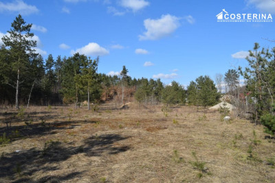 Działki letniskowe w Parchowskim Młynie 200 metrów od Jeziora Mausz - Parchowo  -
pomorskie Zdjęcie nr 11