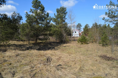 Działki letniskowe w Parchowskim Młynie 200 metrów od Jeziora Mausz - Parchowo  -
pomorskie Zdjęcie nr 12