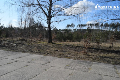 Działki letniskowe w Parchowskim Młynie 200 metrów od Jeziora Mausz - Parchowo  -
pomorskie Zdjęcie nr 13