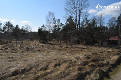 Działki letniskowe w Parchowskim Młynie 200 metrów od Jeziora Mausz - Parchowo  -
pomorskie Zdjęcie nr 14