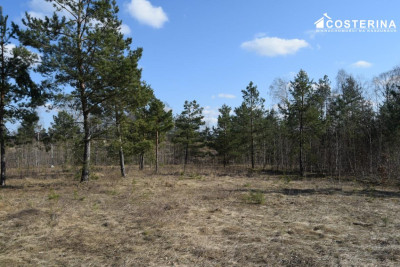 Działki letniskowe w Parchowskim Młynie 200 metrów od Jeziora Mausz - Parchowo  -
pomorskie Zdjęcie nr 3