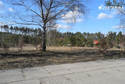 Działki letniskowe w Parchowskim Młynie 200 metrów od Jeziora Mausz - Parchowo  -
pomorskie Zdjęcie nr 4