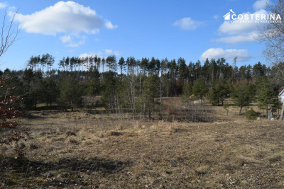 Działki letniskowe w Parchowskim Młynie 200 metrów od Jeziora Mausz - Parchowo  -
pomorskie Zdjęcie nr 5