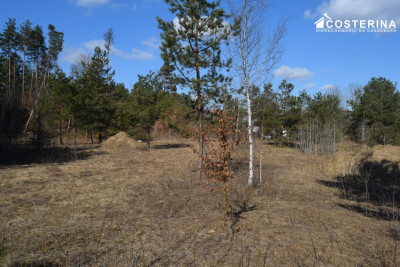 Działki letniskowe w Parchowskim Młynie 200 metrów od Jeziora Mausz - Parchowo  -
pomorskie Zdjęcie nr 6