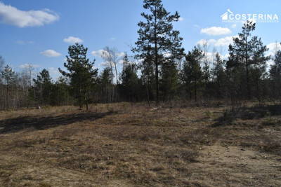 Działki letniskowe w Parchowskim Młynie 200 metrów od Jeziora Mausz - Parchowo  -
pomorskie Zdjęcie nr 7