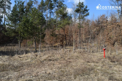 Działki letniskowe w Parchowskim Młynie 200 metrów od Jeziora Mausz - Parchowo  -
pomorskie Zdjęcie nr 8