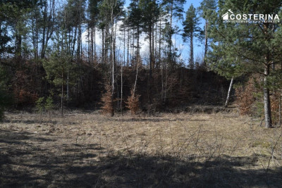 Działki letniskowe w Parchowskim Młynie 200 metrów od Jeziora Mausz - Parchowo  -
pomorskie Zdjęcie nr 9