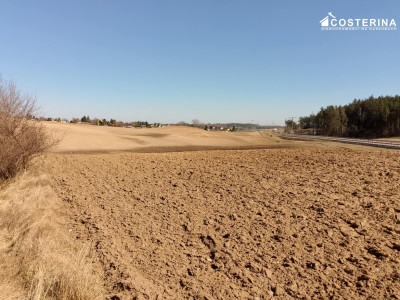 DZIAŁKA INWESTYCYJNA NA SPRZEDAŻ - KOŚCIERZYNA 6 HA 43MU - Kościerzyna  - pomorskie