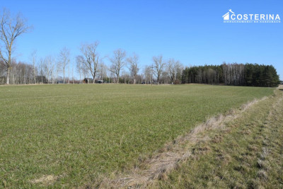 Działki letniskowe na sprzedaż Liniewo Kaszuby  Tylko w Costerina - Liniewo  -
pomorskie Zdjęcie nr 2