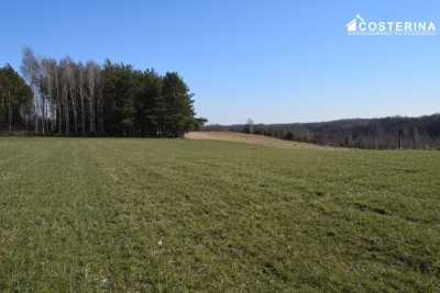 Działki letniskowe na sprzedaż Liniewo Kaszuby  Tylko w Costerina - Liniewo  -
pomorskie Zdjęcie nr 3