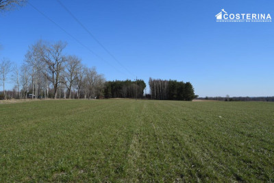 Działki letniskowe na sprzedaż Liniewo Kaszuby  Tylko w Costerina - Liniewo  -
pomorskie Zdjęcie nr 4