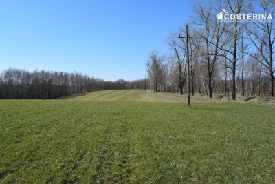 Działki letniskowe na sprzedaż Liniewo Kaszuby  Tylko w Costerina - Liniewo  -
pomorskie Zdjęcie nr 5