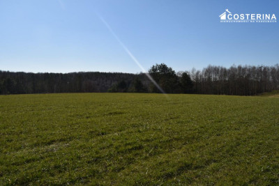 Działki letniskowe na sprzedaż Liniewo Kaszuby  Tylko w Costerina - Liniewo  -
pomorskie Zdjęcie nr 6