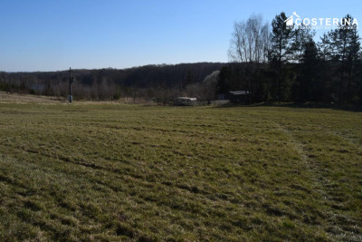 Działki letniskowe na sprzedaż Liniewo Kaszuby  Tylko w Costerina - Liniewo  -
pomorskie Zdjęcie nr 7