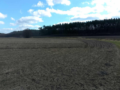 DZIAŁKA PRODUKCYJNO-USŁUGOWA NA SPRZEDAŻ - KOŚCIERZYNA 1 HA STREFA PU - Kościerzyna  -
pomorskie Zdjęcie nr 3