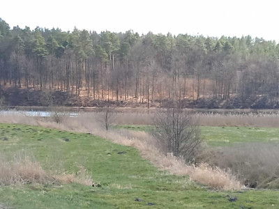 DZIAŁKA PRODUKCYJNO-USŁUGOWA NA SPRZEDAŻ - KOŚCIERZYNA 1 HA STREFA PU - Kościerzyna  -
pomorskie Zdjęcie nr 4