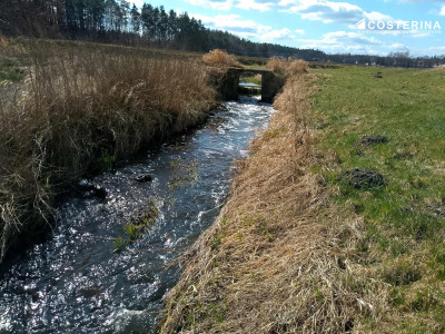 DZIAŁKA PRODUKCYJNO-USŁUGOWA NA SPRZEDAŻ - KOŚCIERZYNA 1 HA STREFA PU - Kościerzyna  -
pomorskie Zdjęcie nr 7