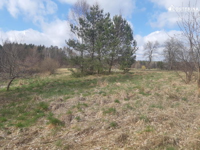 Działka budowlana z widokiem na staw Nowy Bukowiec gm Stara Kiszewa - Nowy Bukowiec  - pomorskie