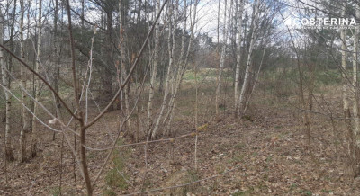 Działka budowlana z widokiem na staw Nowy Bukowiec gm Stara Kiszewa - Nowy Bukowiec  -
pomorskie Zdjęcie nr 2