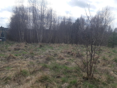 Działka budowlana z widokiem na staw Nowy Bukowiec gm Stara Kiszewa - Nowy Bukowiec  -
pomorskie Zdjęcie nr 3