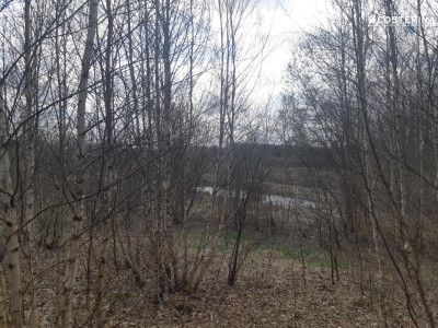 Działka budowlana z widokiem na staw Nowy Bukowiec gm Stara Kiszewa - Nowy Bukowiec  -
pomorskie Zdjęcie nr 5