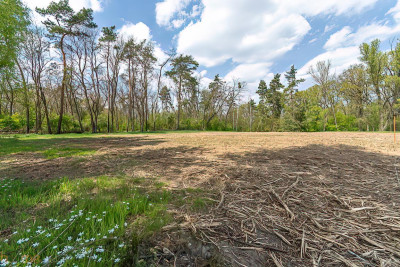 Wyjątkowy teren przy lesie Idealne pod Twój dom - Brzezinka Średzka  -
dolnośląskie Zdjęcie nr 6