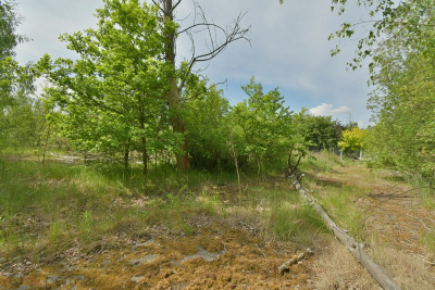 Działka przemysłowa Wałbrzych - Wałbrzych Stary Zdrój  -
dolnośląskie Zdjęcie nr 8