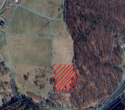 Działka w Górach Sowich - Walim  -
dolnośląskie Zdjęcie nr 6